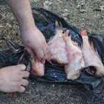 2016-05-02-rubskoe-6