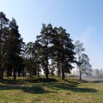 2008-05-03-parskoe-16