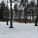 2010-03-27-rubskoe-razvedka-04